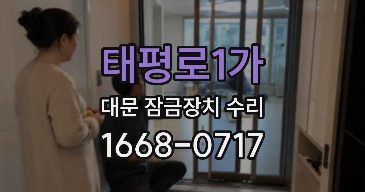 태평로1가 대문 잠금장치 수리