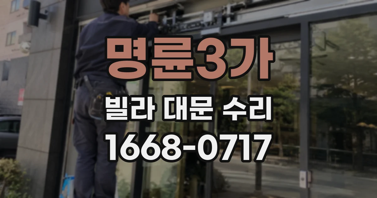 명륜3가 빌라 대문 수리