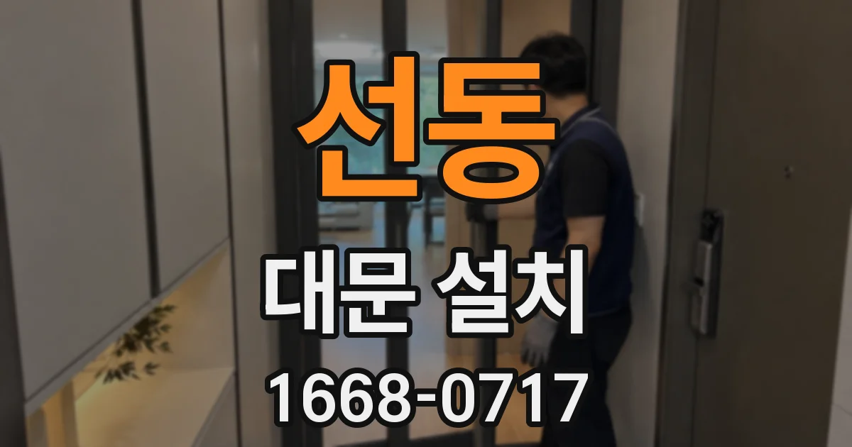선동 대문 설치