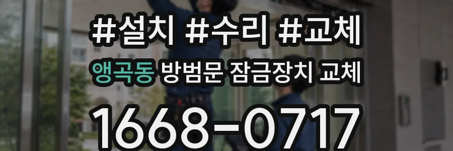 앵곡동 방범문 잠금장치 교체