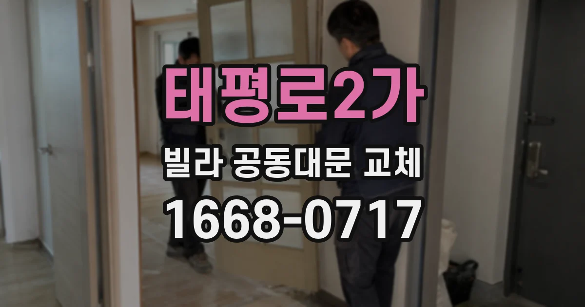 태평로2가 빌라 공동대문 교체