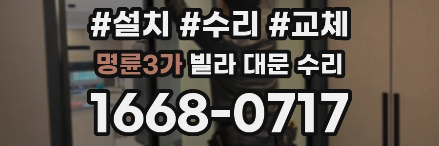 명륜3가 빌라 대문 수리