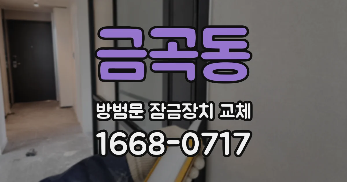 금곡동 방범문 잠금장치 교체
