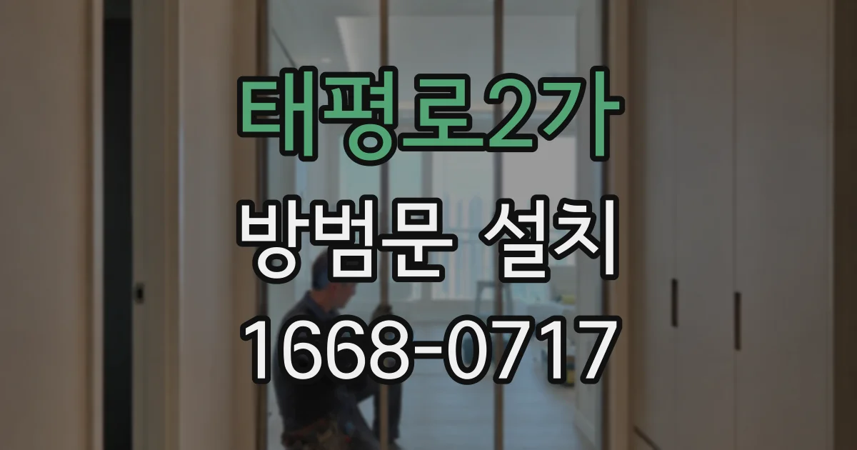 태평로2가 방범문 설치