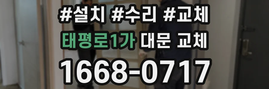 태평로1가 대문 교체