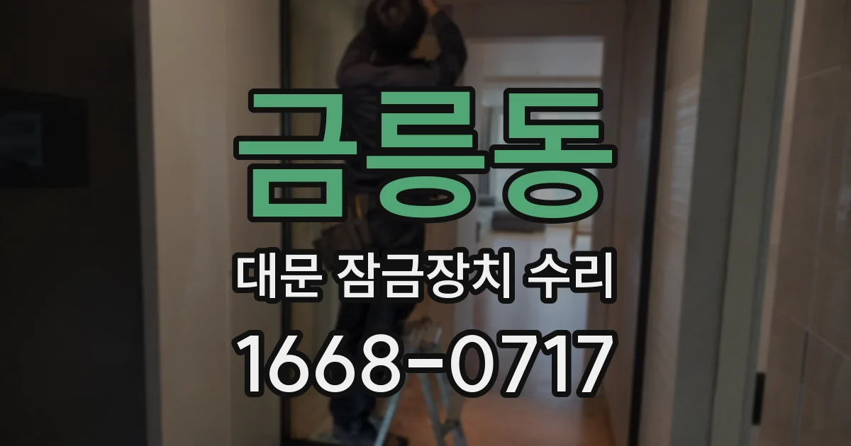 금릉동 대문 잠금장치 수리