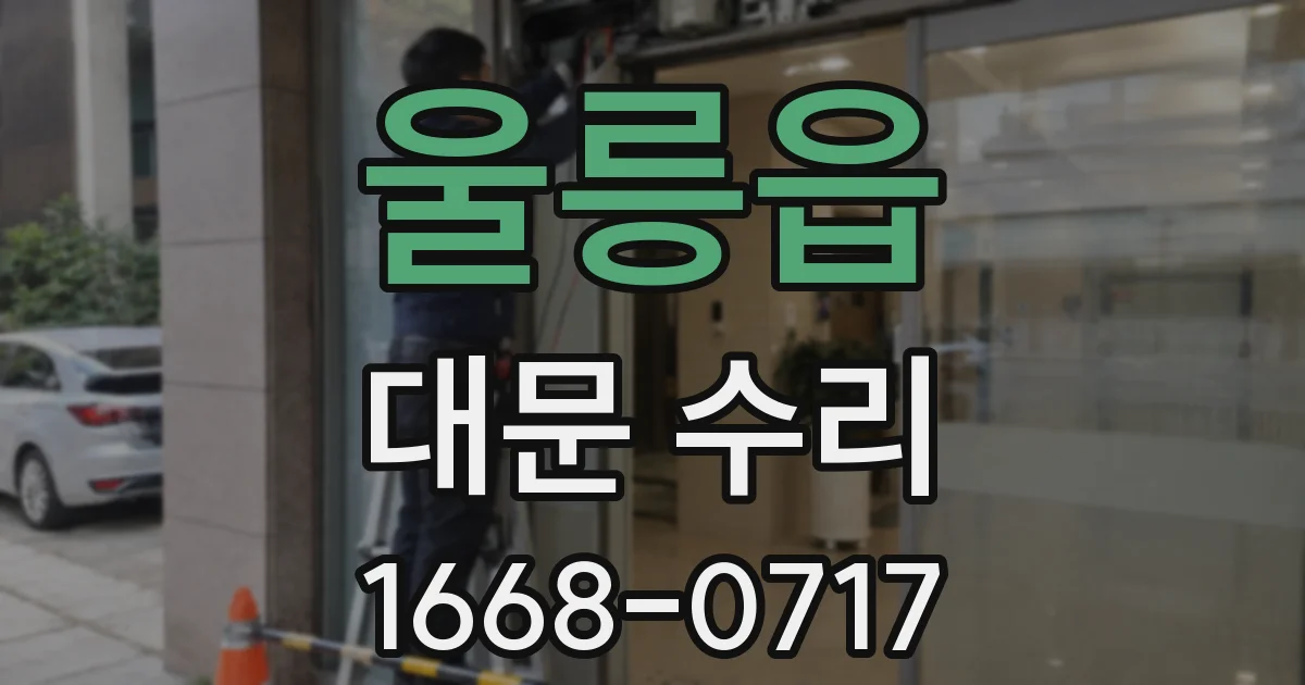 울릉읍 대문 수리