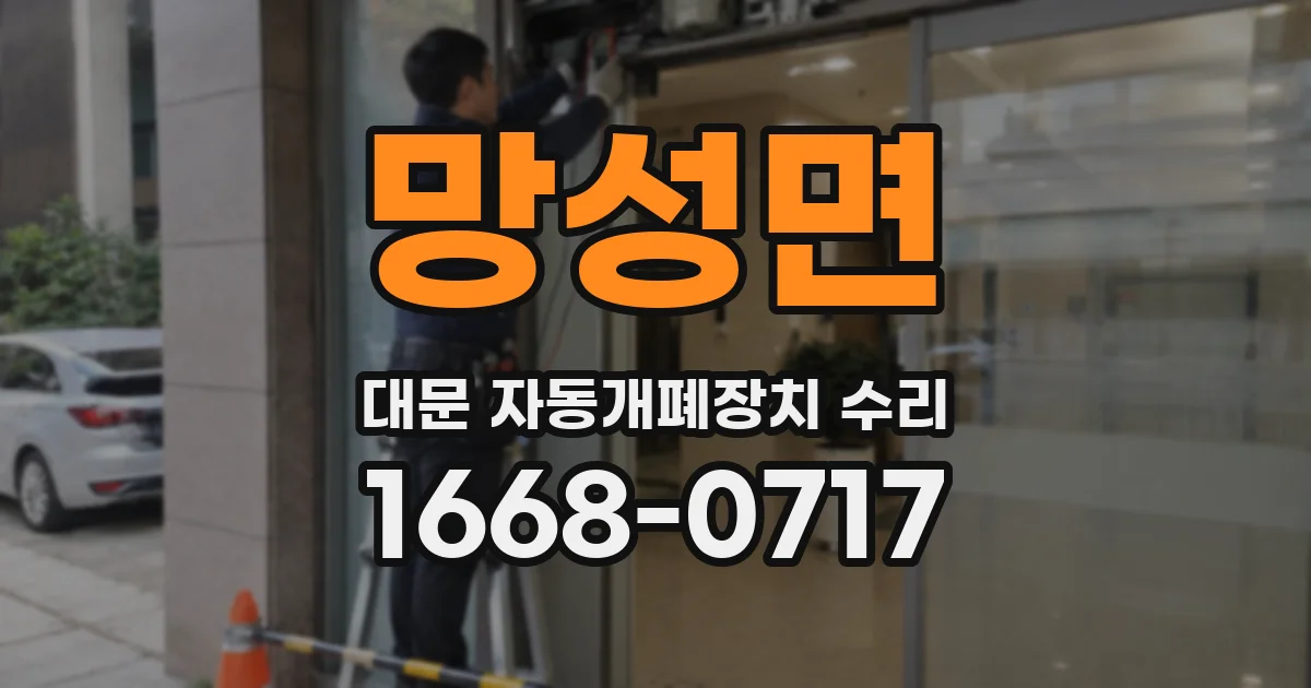 망성면 대문 자동개폐장치 수리