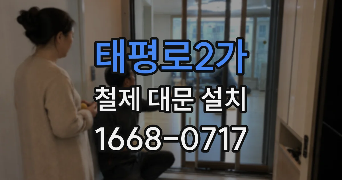 태평로2가 철제 대문 설치