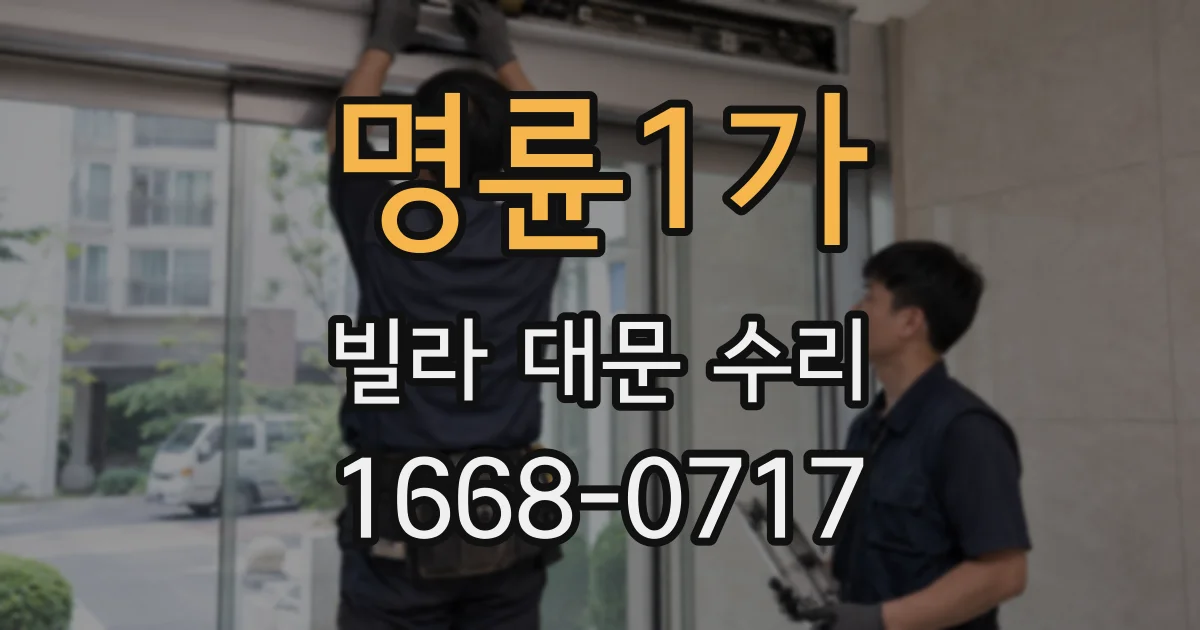 명륜1가 빌라 대문 수리