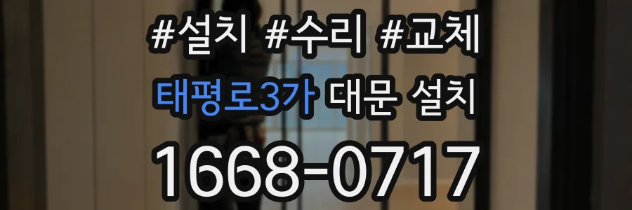 태평로3가 대문 설치
