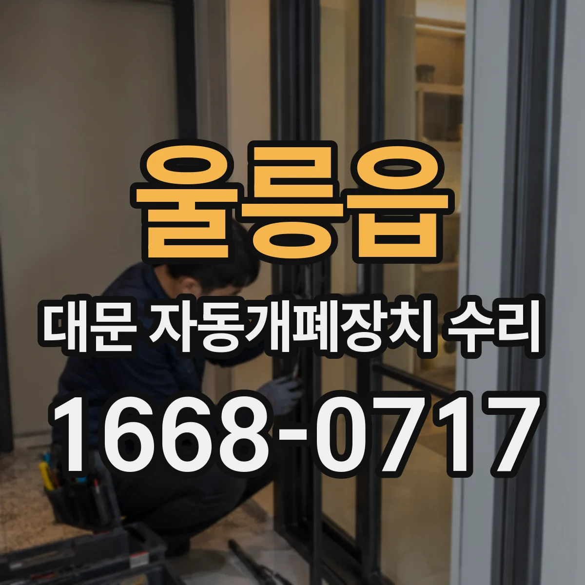 울릉읍 대문 자동개폐장치 수리