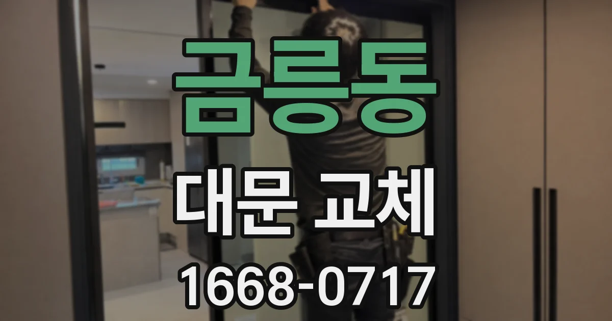 금릉동 대문 교체