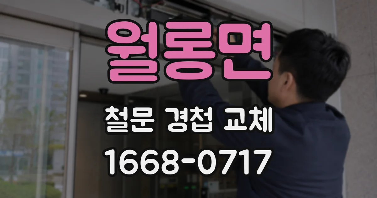 월롱면 철문 경첩 교체