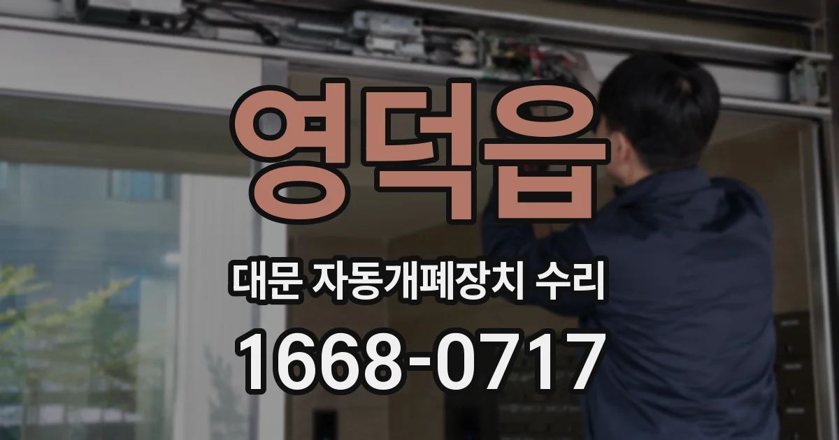 영덕읍 대문 자동개폐장치 수리