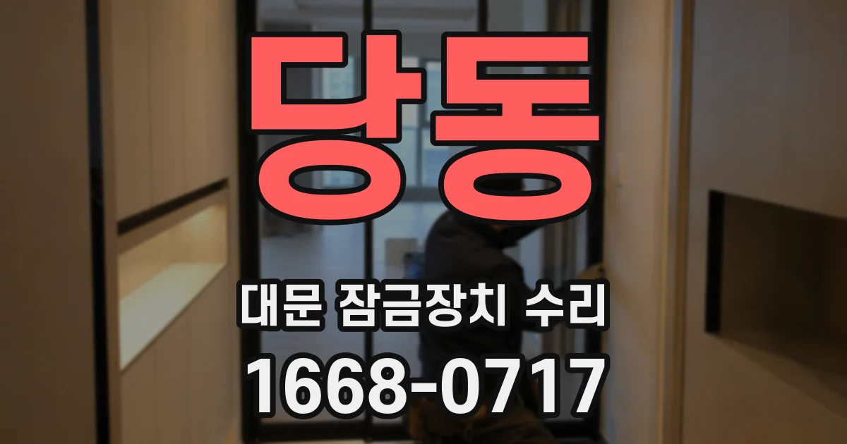 당동 대문 잠금장치 수리