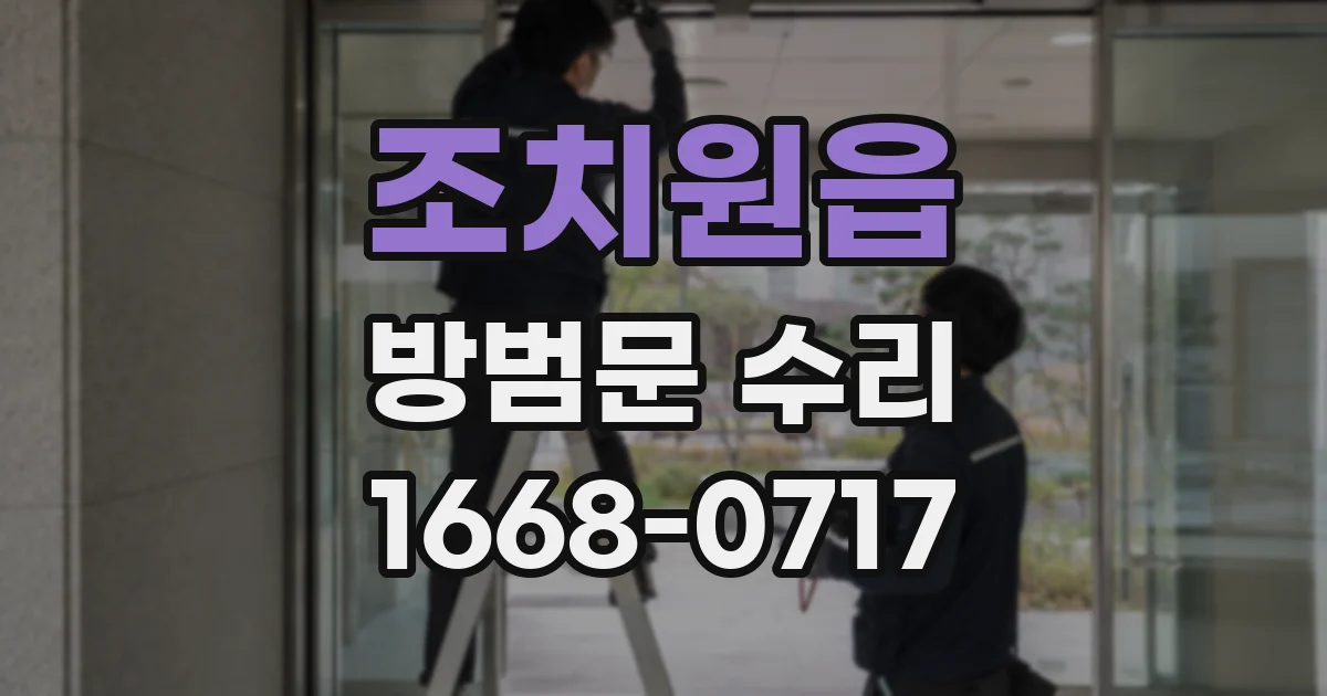 조치원읍 방범문 수리