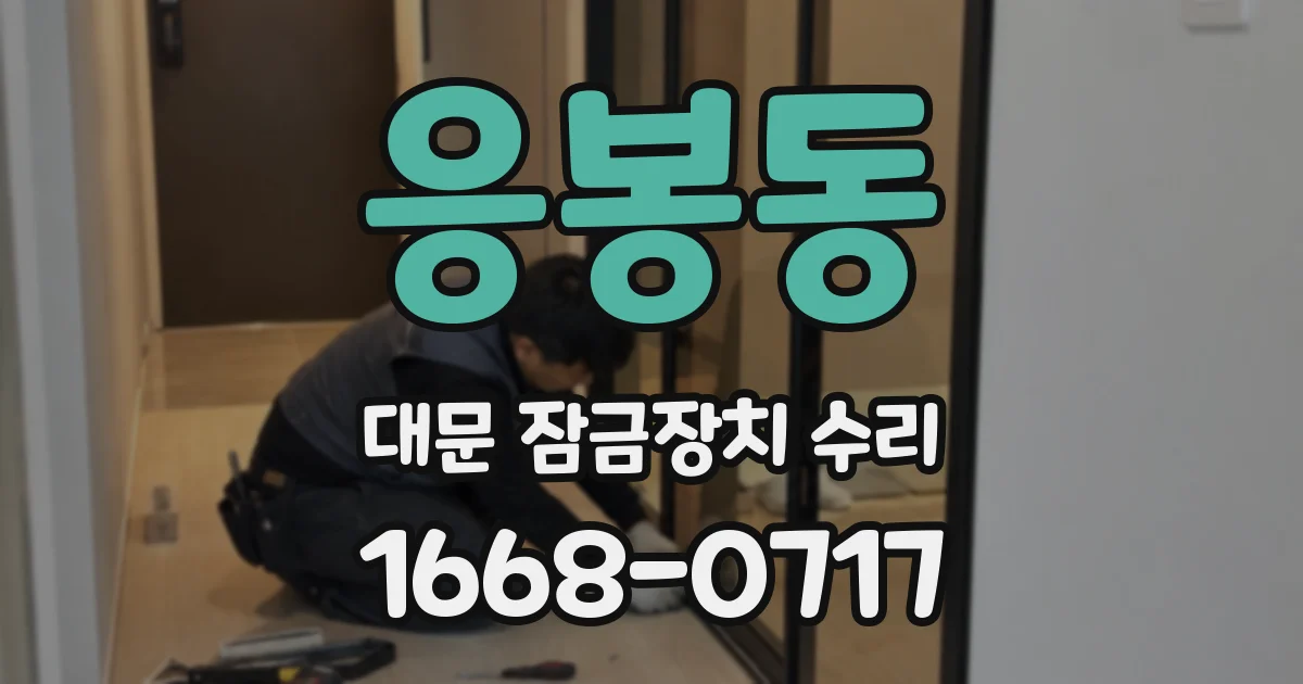 응봉동 대문 잠금장치 수리