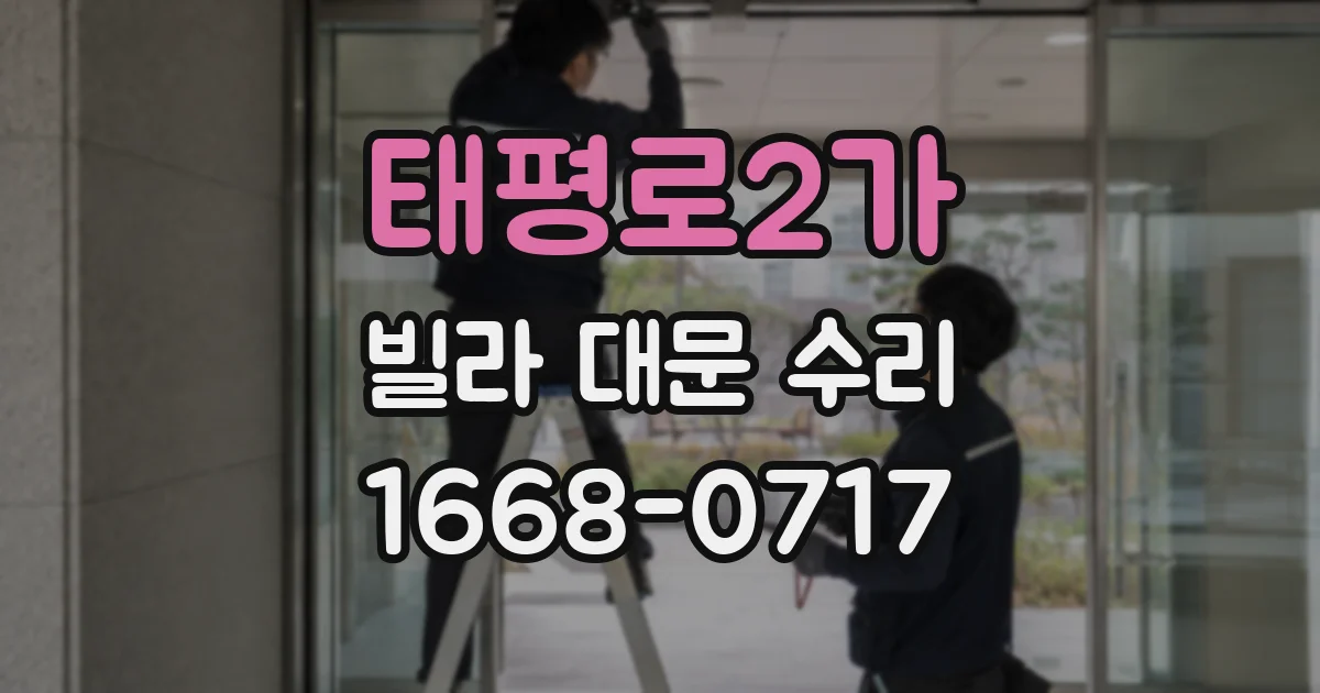 태평로2가 빌라 대문 수리