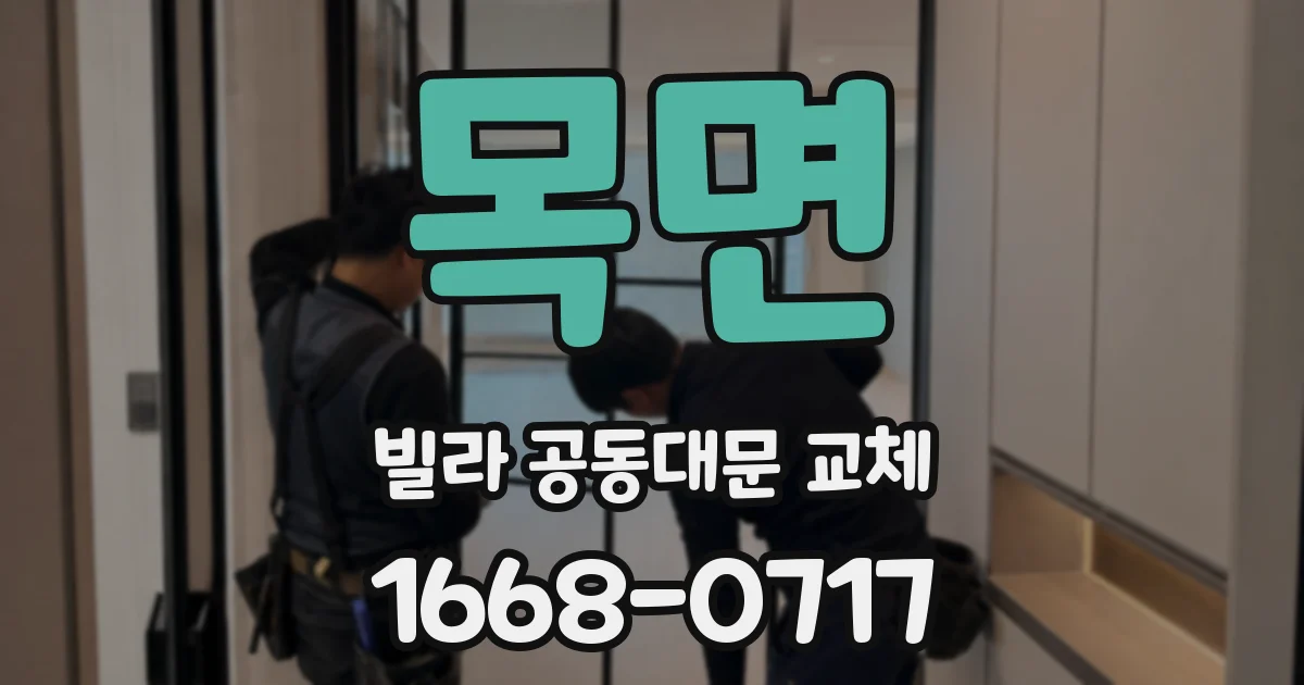 목면 빌라 공동대문 교체
