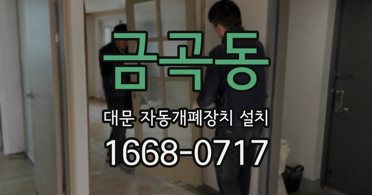 금곡동 대문 자동개폐장치 설치