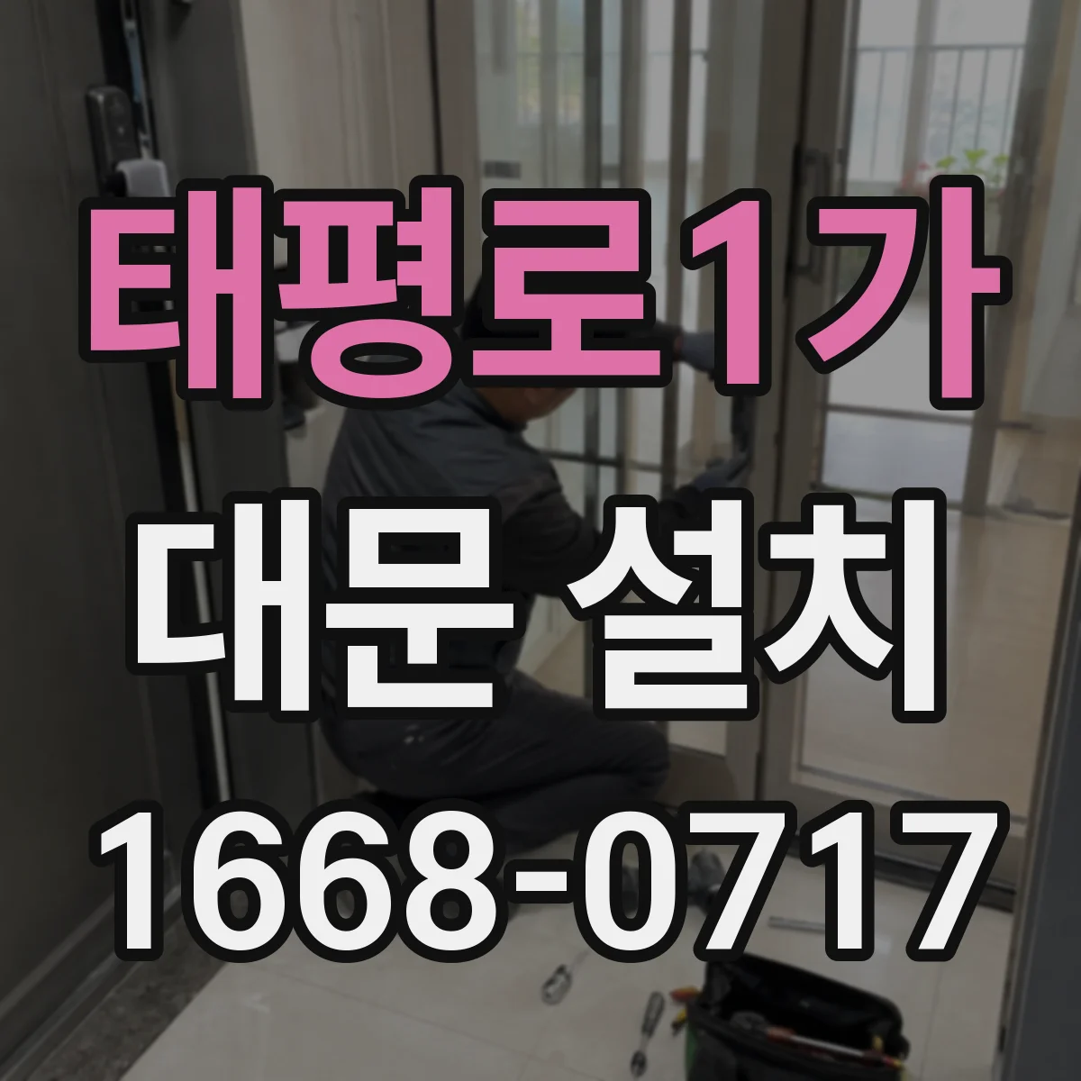 태평로1가 대문 설치