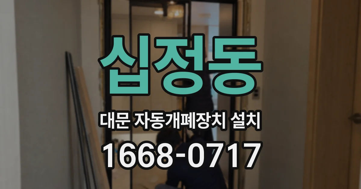 십정동 대문 자동개폐장치 설치