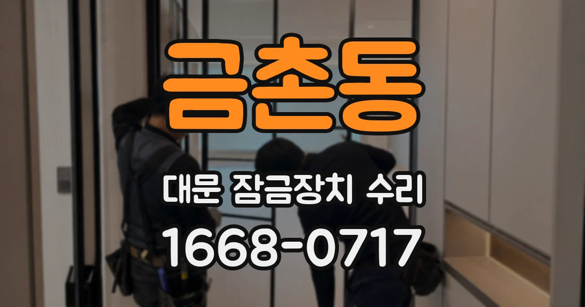 금촌동 대문 잠금장치 수리