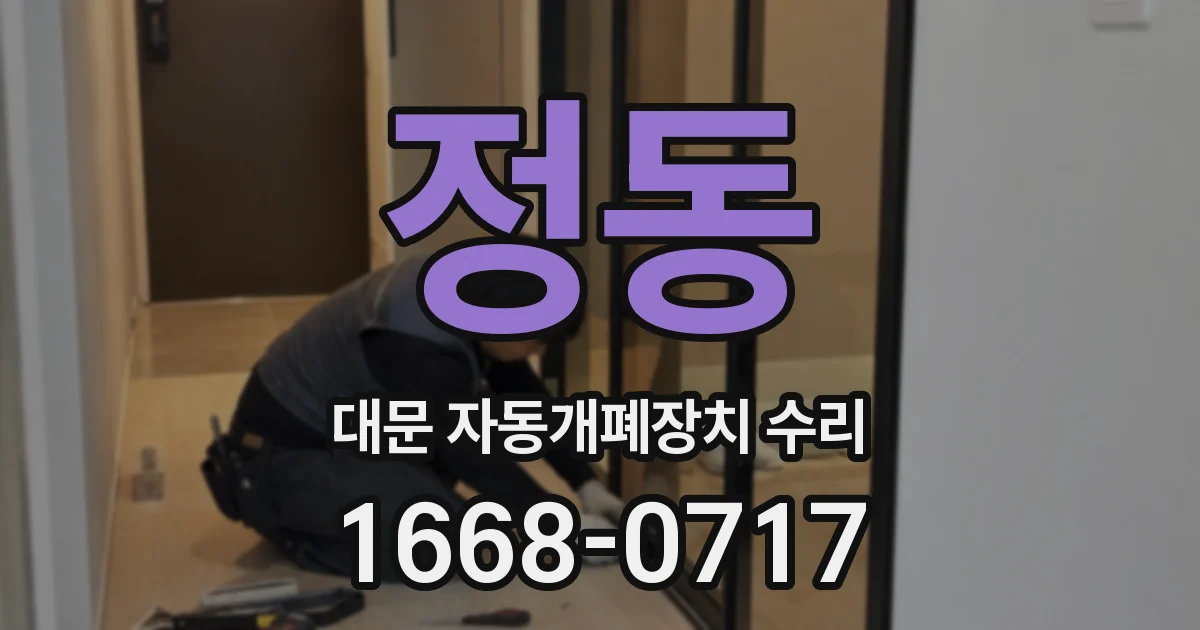 정동 대문 자동개폐장치 수리