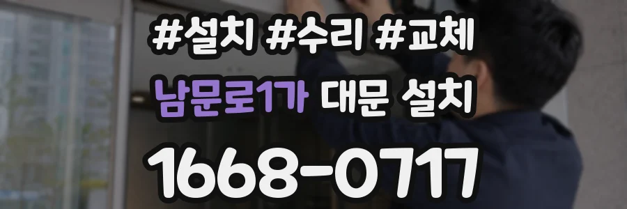 남문로1가 대문 설치
