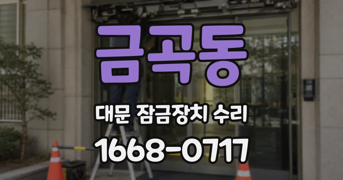 금곡동 대문 잠금장치 수리