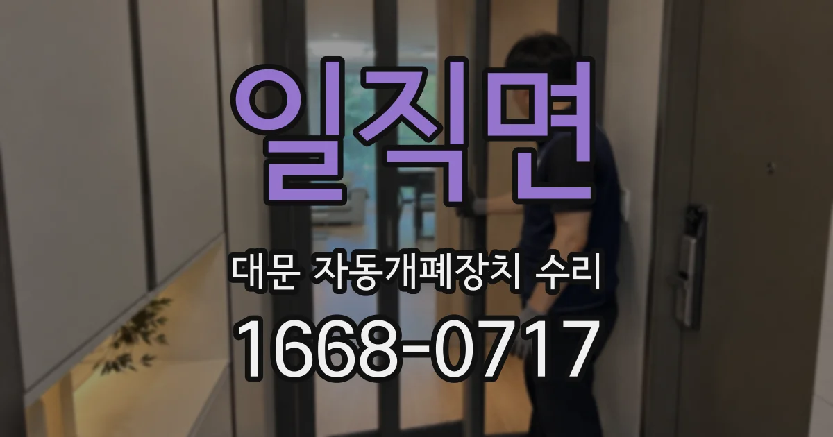 일직면 대문 자동개폐장치 수리