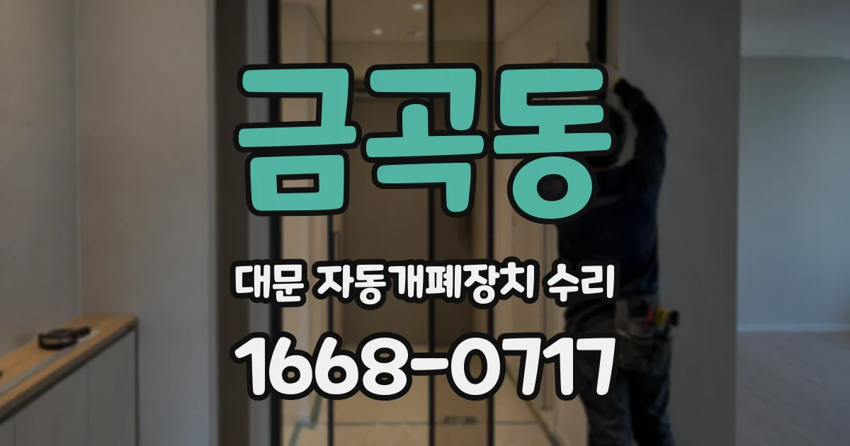 금곡동 대문 자동개폐장치 수리