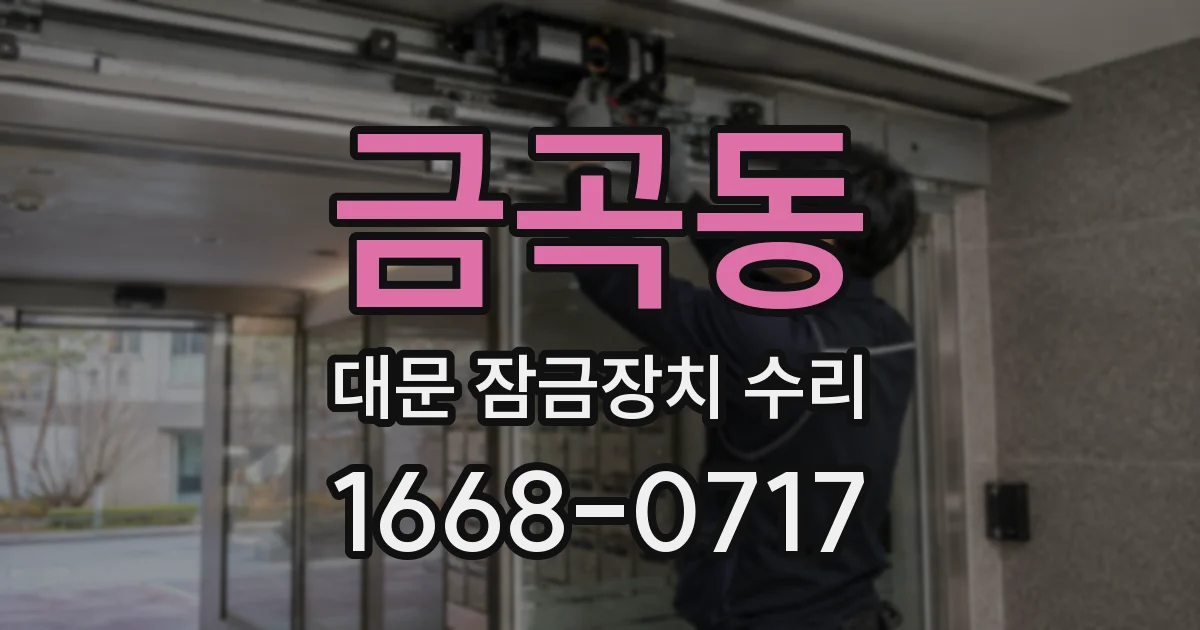 금곡동 대문 잠금장치 수리