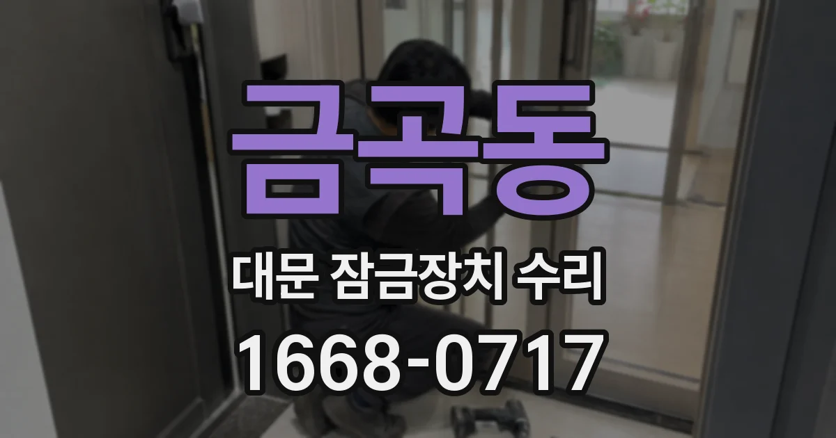 금곡동 대문 잠금장치 수리
