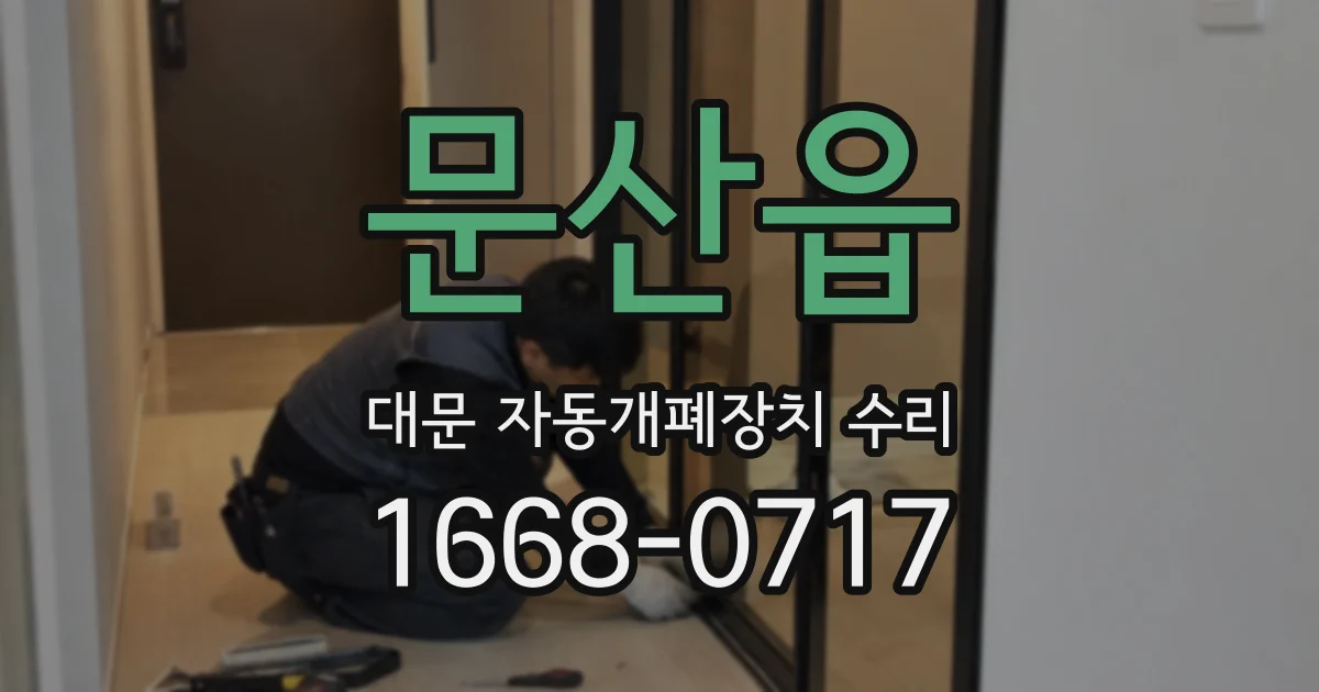 문산읍 대문 자동개폐장치 수리