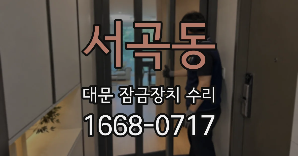 서곡동 대문 잠금장치 수리