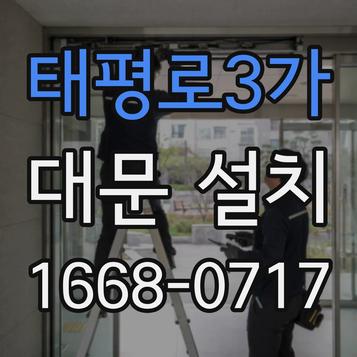 태평로3가 대문 설치