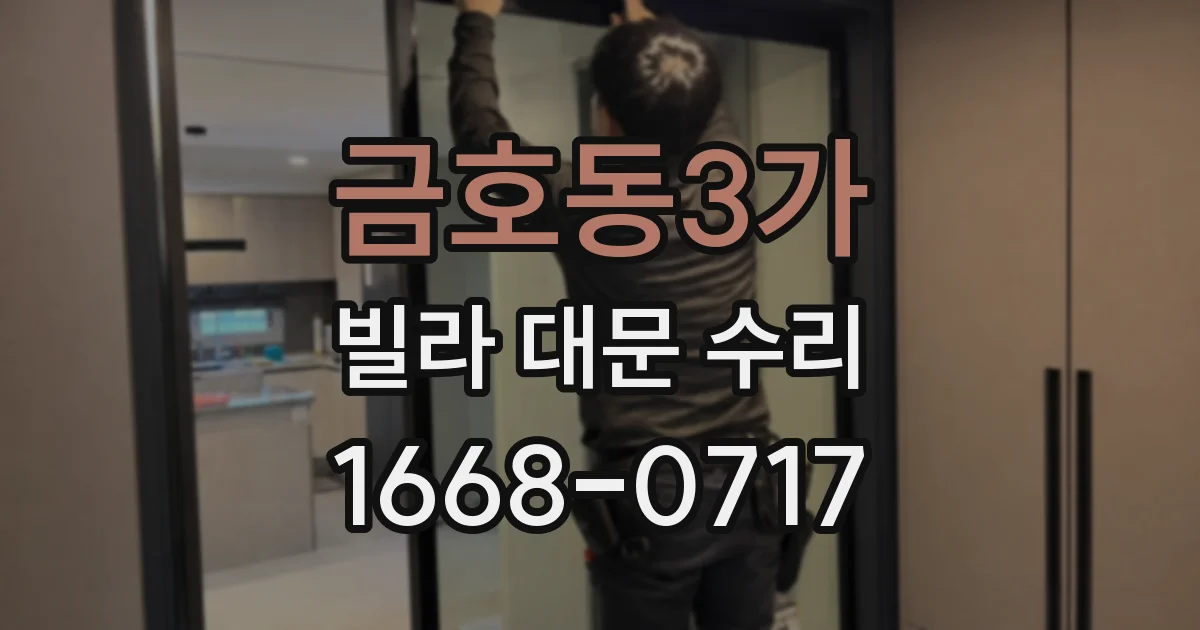 금호동3가 빌라 대문 수리