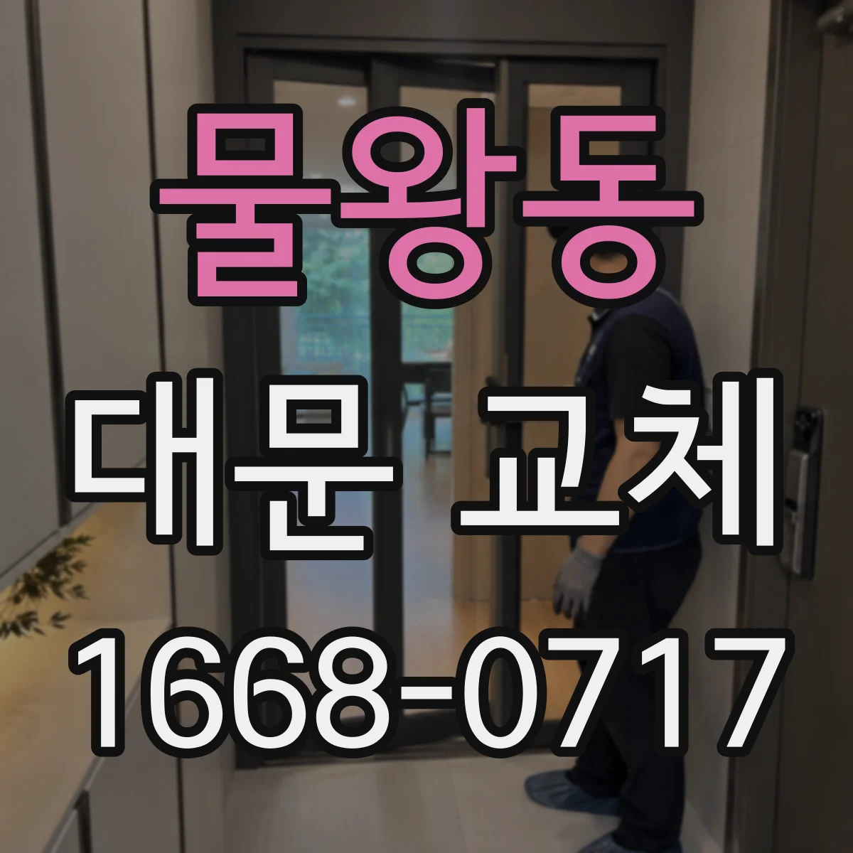 물왕동 대문 교체