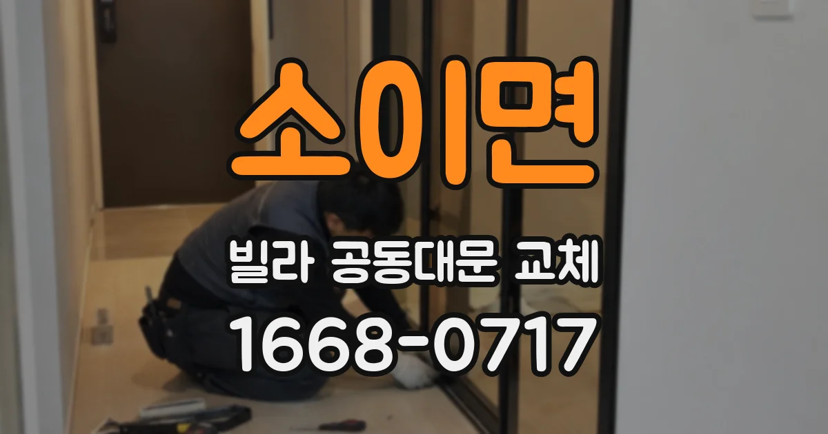 소이면 빌라 공동대문 교체