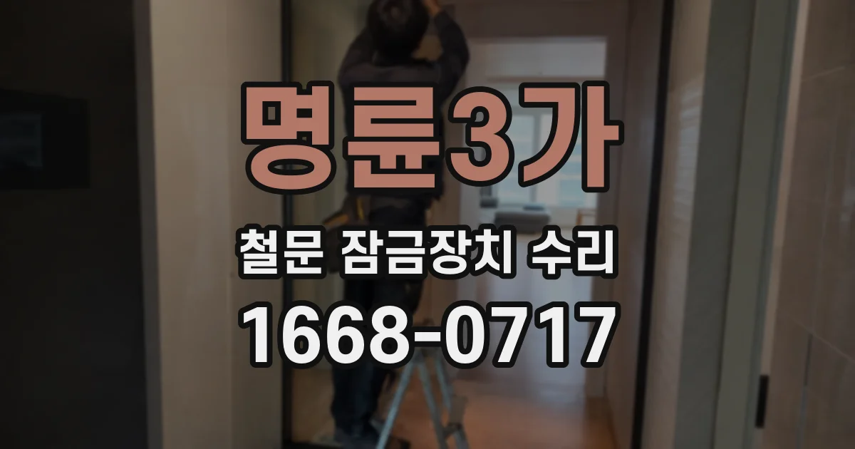 명륜3가 철문 잠금장치 수리