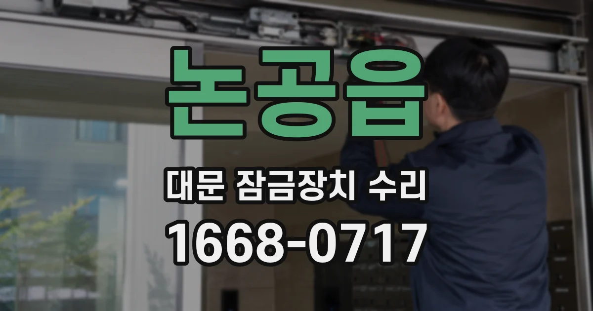 논공읍 대문 잠금장치 수리