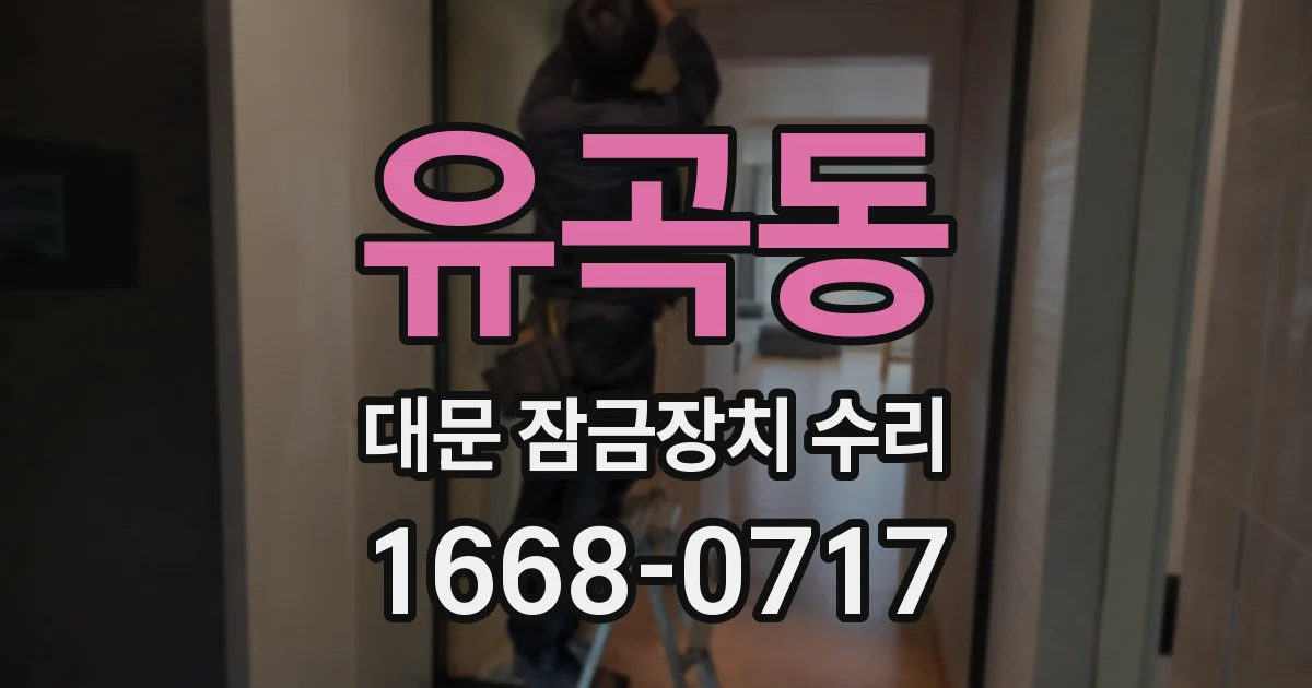 유곡동 대문 잠금장치 수리