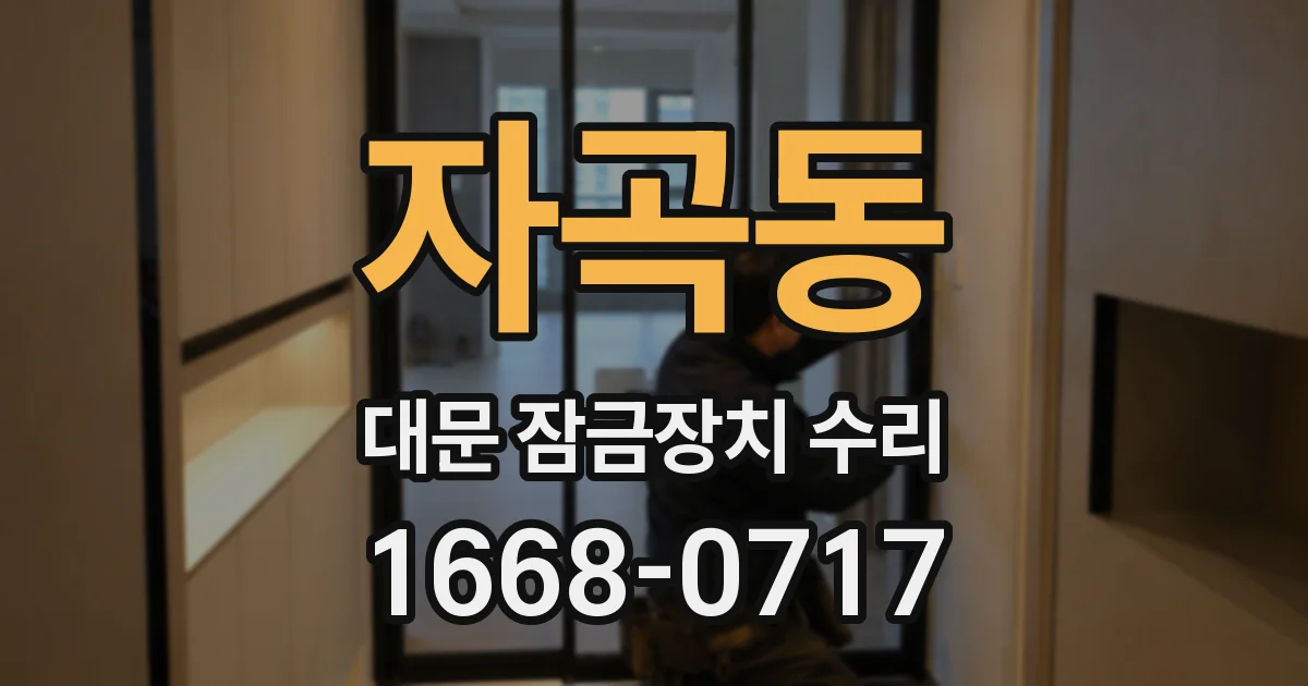 자곡동 대문 잠금장치 수리