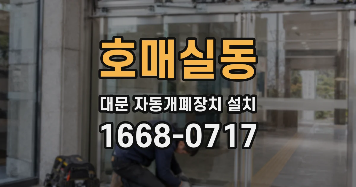 호매실동 대문 자동개폐장치 설치