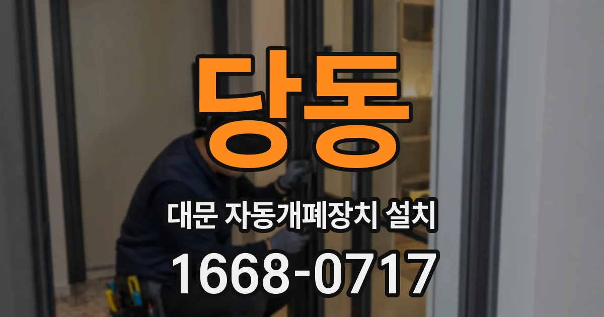 당동 대문 자동개폐장치 설치