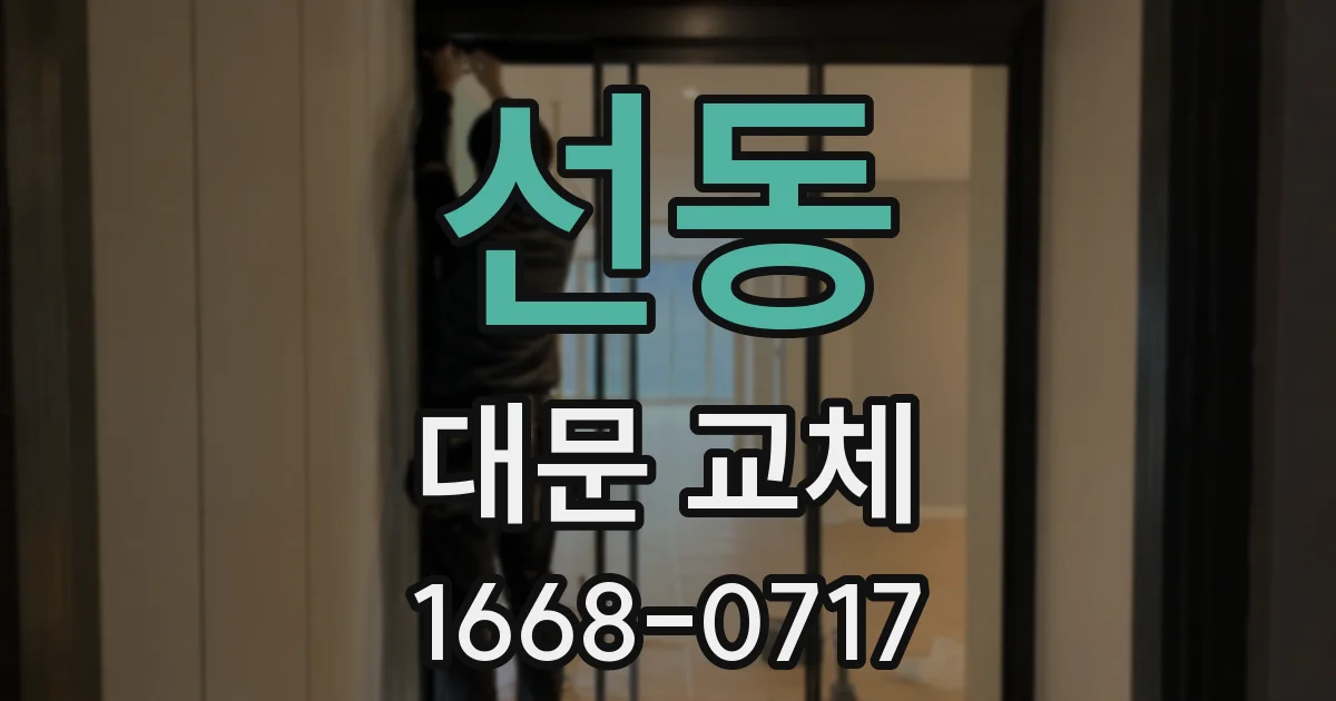 선동 대문 교체