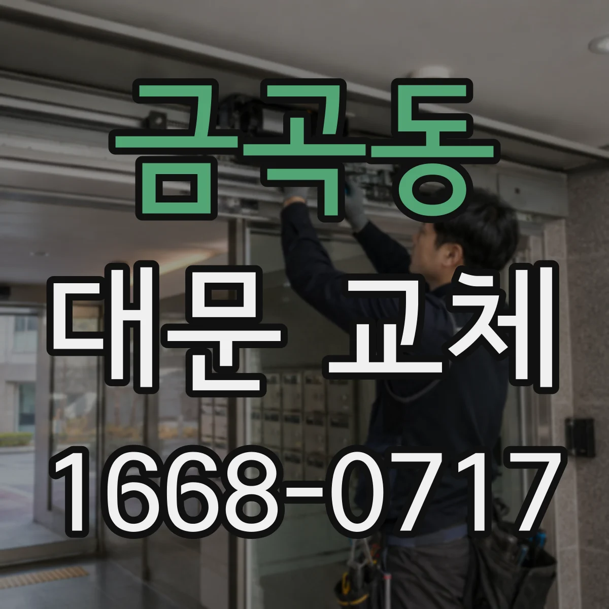 금곡동 대문 교체