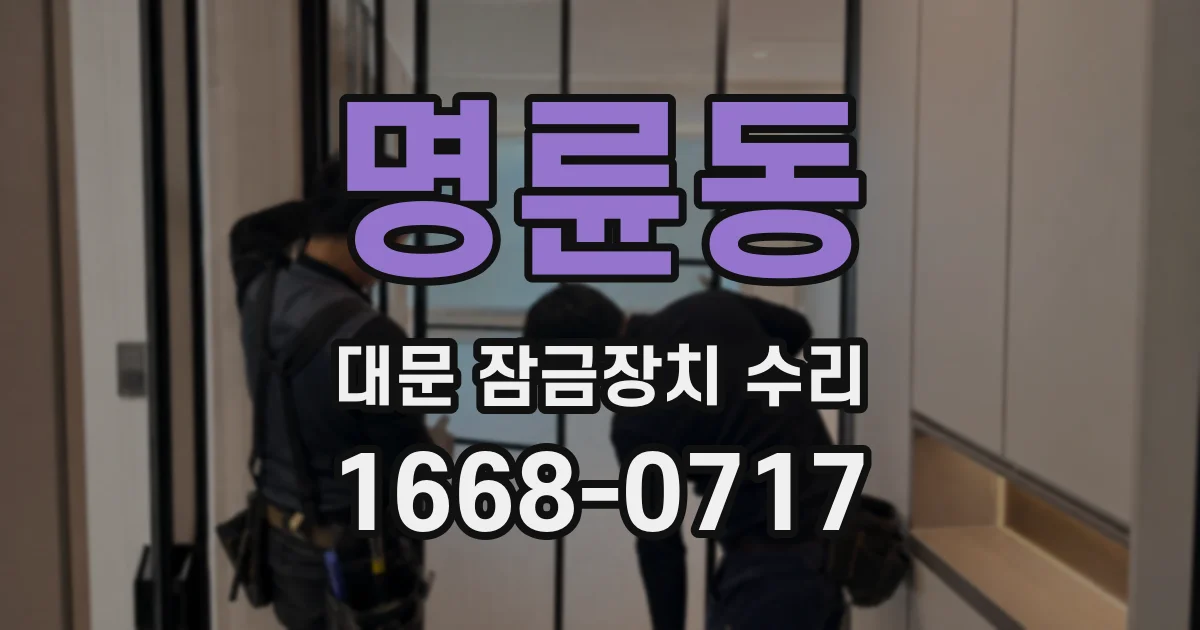 명륜동 대문 잠금장치 수리